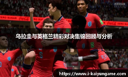 kaiyun开云
