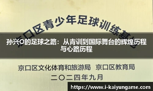 kaiyun开云
